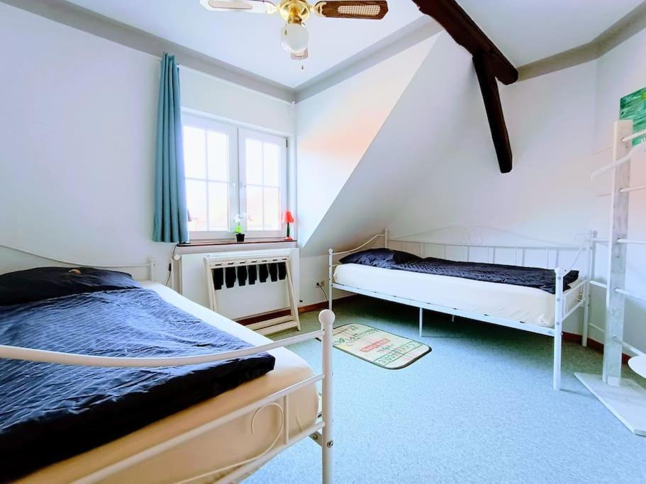 Ruhiges Exzellenz-Appartement Diana Im Elb-Urstromtal - Fast Wlan, Good For Long-Terms Bleckede Exteriér fotografie