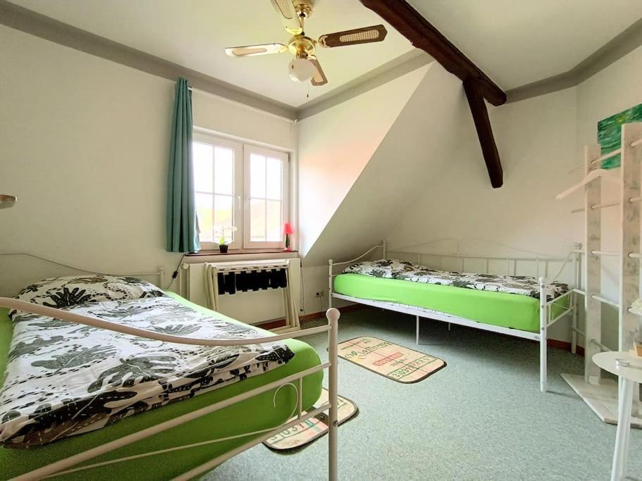Ruhiges Exzellenz-Appartement Diana Im Elb-Urstromtal - Fast Wlan, Good For Long-Terms Bleckede Exteriér fotografie
